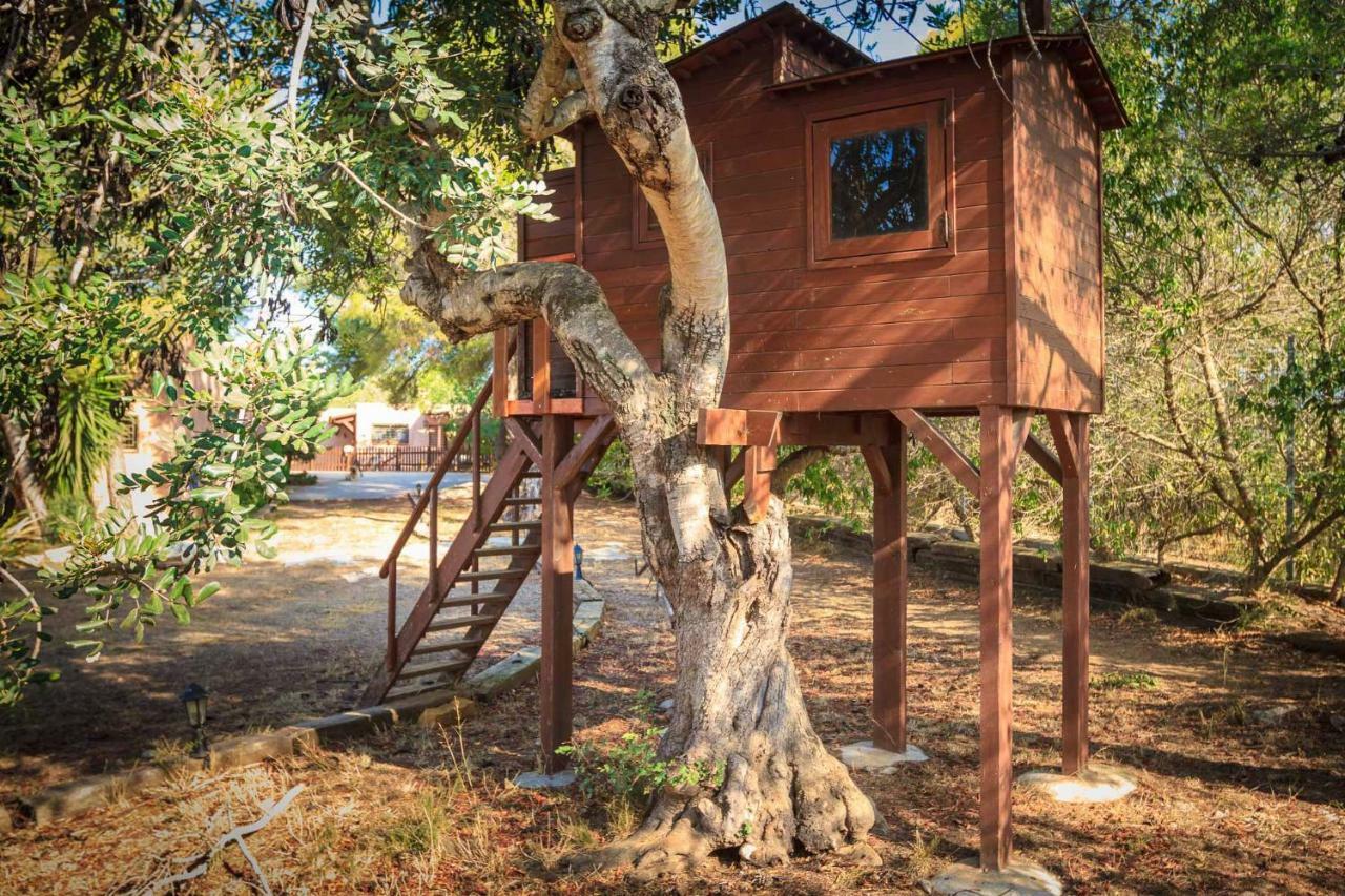 El Maset De Torredembarra Villa Buitenkant foto