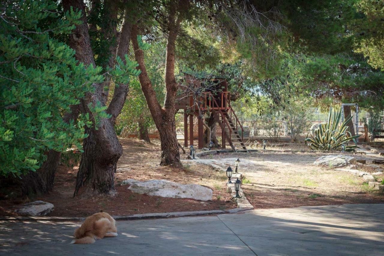 El Maset De Torredembarra Villa Buitenkant foto